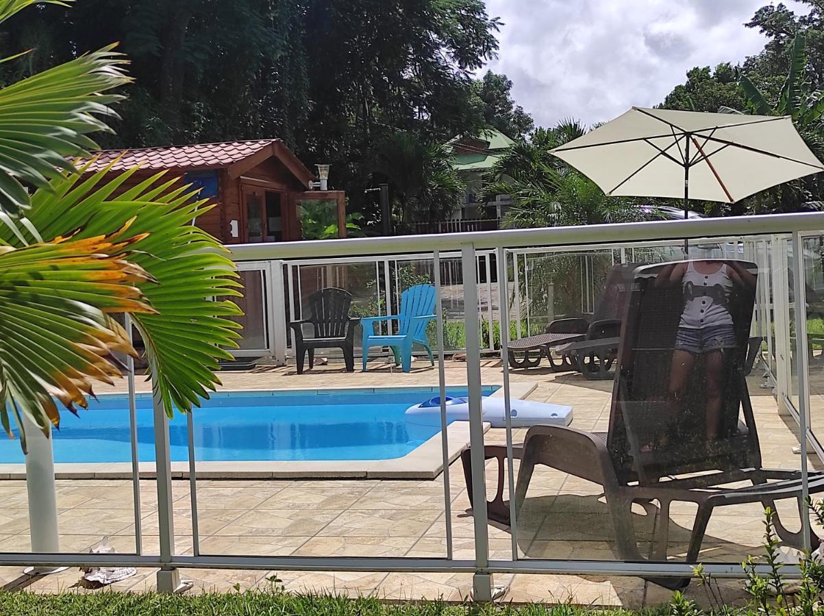Le Tri Haut De Bellevue - Bungalow Colibri ปวงต์-นัวร์ ภายนอก รูปภาพ